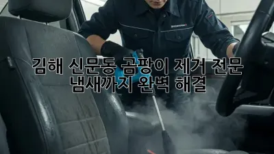 김해 신문동 곰팡이 제거 전문 💯 냄새까지 완벽 해결!