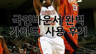 국민바운서: 완벽 가이드 & 사용 후기